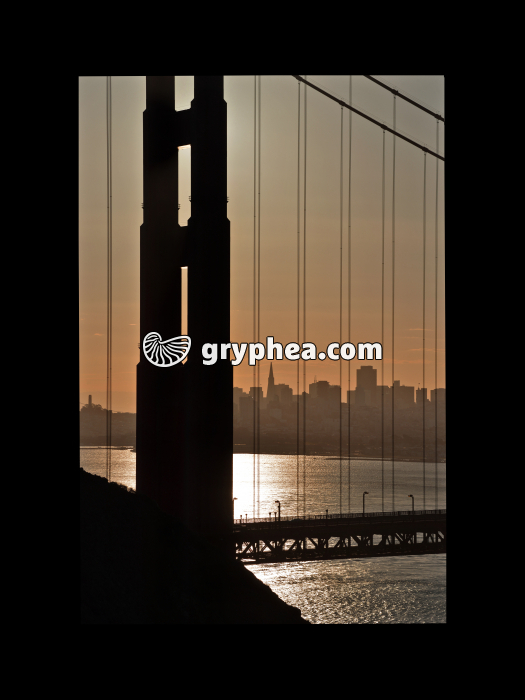 Golden Gate Bridge San Francisco (USA) - gryphea.com
